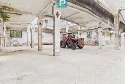 Spațiu industrial, de 200 mp, în Periam - 2