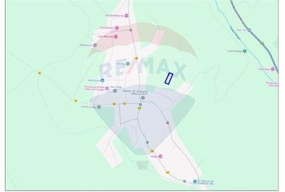Teren Construcții intravilan de 3725 mp, în Cordău - 3