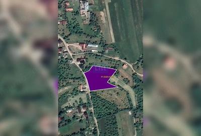 Teren de 5323 mp, în Josenii Bârgăului