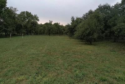Apartament cu 3 camere decomandat în Central - 1
