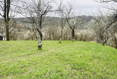 Teren de 5684 mp, în Drajna
