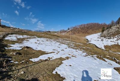 Teren Construcții extravilan de 150000 mp, în Șirnea - 37