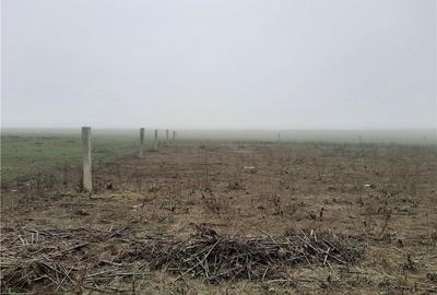 Teren de 10000 mp, în Fetești-Gară