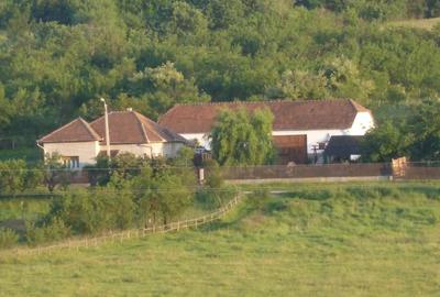 Casă cu Teren 1000 Mp în Valea