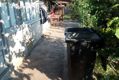 Casă cu Teren 980 Mp în Movila Banului