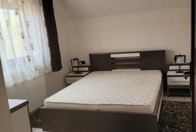 Casă individuală cu 4 camere cu Teren 2500 Mp în Cetate - 10