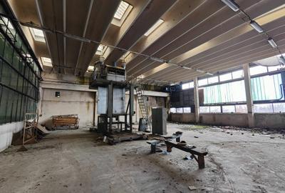 Spațiu industrial, de 4,900 mp, în Exterior Nord - 3
