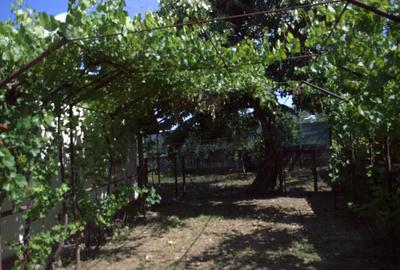 Casă cu Teren 700 Mp în Gratia - 8