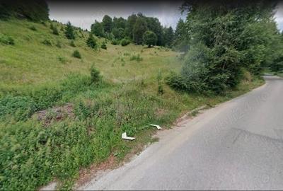 Teren de 6128 mp, în Dâmbovicioara - 2