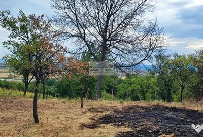 Teren de 2240 mp, în Copăcești - 1