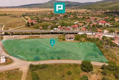 Teren Construcții intravilan de 10000 mp, în Păuliș - 3