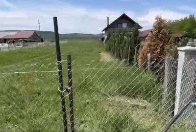 Teren de 14000 mp, în Chintelnic - 6