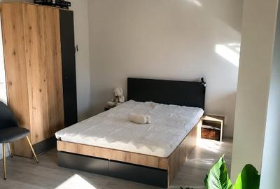 Garsonieră semidecomandată în Popa Șapcă - 1