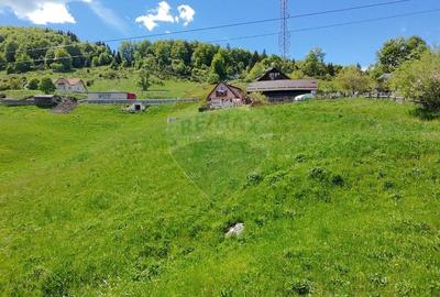 Teren Construcții intravilan de 2756 mp, în Fundata - 5