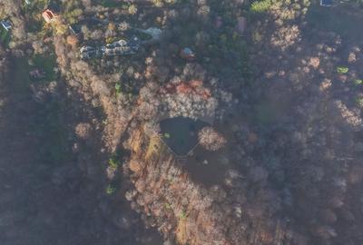 Teren Construcții intravilan de 17684 mp, în Centrul Istoric - 2