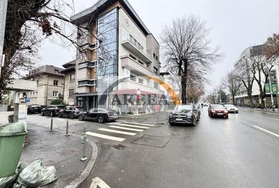 Casă individuală cu 10 camere cu Canalizare în Dorobanți - 1