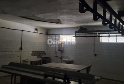 Proprietate specială, de 771 mp, în Jegălia - 5