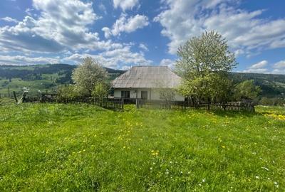 Teren de 16600 mp, în Central - 1