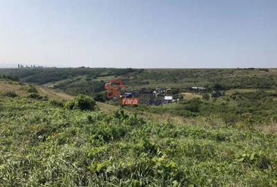 Teren de 19000 mp, în Șorogari