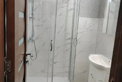 Garsonieră decomandată în Zimbru - 3