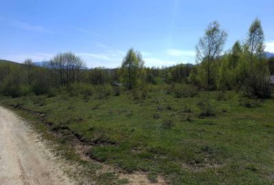 Teren de 500 mp, în Predeluț - 4