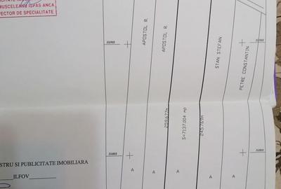 Teren de 7108 mp, în Tâncăbești - 3