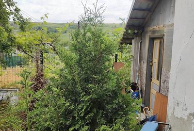 Casă cu 2 camere cu Teren 1800 Mp în Lunca - 3