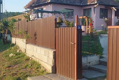 Casă cu 2 camere cu Teren 1400 Mp în Central - 3