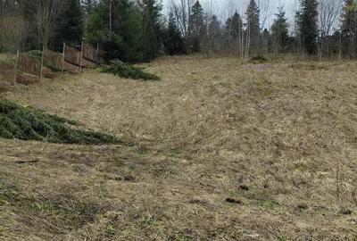 Teren de 1000 mp, în Predeal - 4