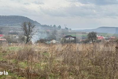 Teren de 9292 mp, în Cuzdrioara - 5