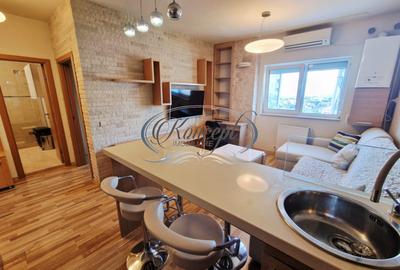 Apartament cu 2 camere semidecomandat, mobilat în Zorilor