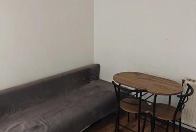 Garsonieră nedecomandată în Terezian - 5