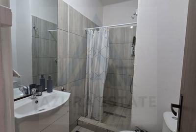 Apartament cu 2 camere, mobilat în Lazaret - 11