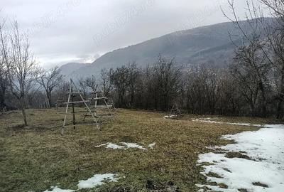 Teren de 1200 mp, în Teșila - 5