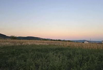 Teren de 2600 mp, în Mintia