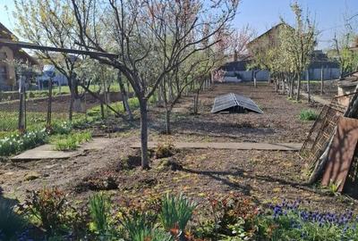 Casă cu Teren 1850 Mp în Sânandrei