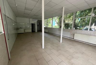 Spațiu comercial, de 120 mp, în Aleea Carpați