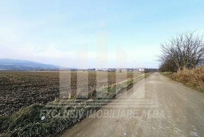 Teren intravilan de 780 mp, în Partoș