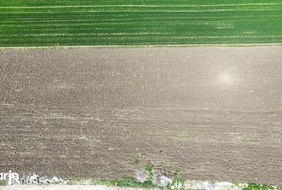Teren de 500 mp, în Frumușani - 2