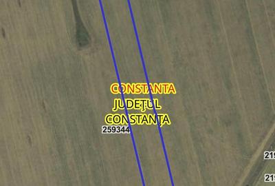Teren agricol extravilan de 50000 mp, în Viile Noi - 6