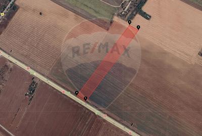 Teren agricol extravilan de 22000 mp, în Sud-Vest - 2