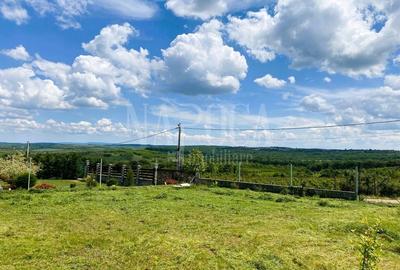 Teren Construcții intravilan de 895 mp, în Paleu - 1