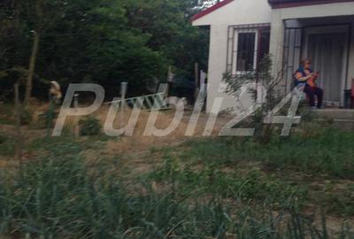 Casă cu 3 camere cu Teren 5000 Mp în Pătlăgeanca