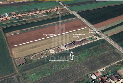 Teren agricol intravilan de 10000 mp, în Șura Mică - 3