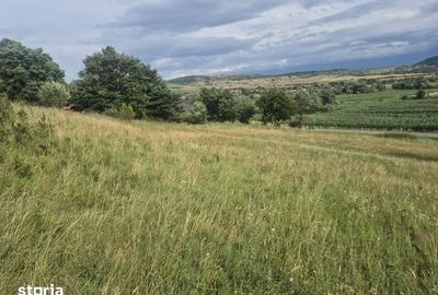 Teren de 1300 mp, în Ștrand