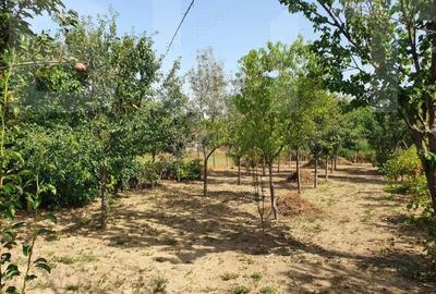 Casă cu Teren 1200 Mp în Central - 2