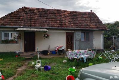 Casă cu 5 camere cu Teren 6800 Mp în Hărțăgani - 9