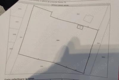 Teren de 3129 mp, în Limpeziș - 1