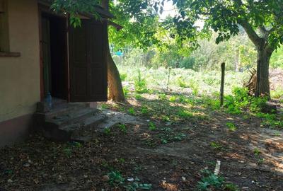 Casă cu 4 camere cu Teren 500 Mp în 6 Vânători - 8