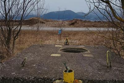 Teren de 9000 mp, în Est - 5